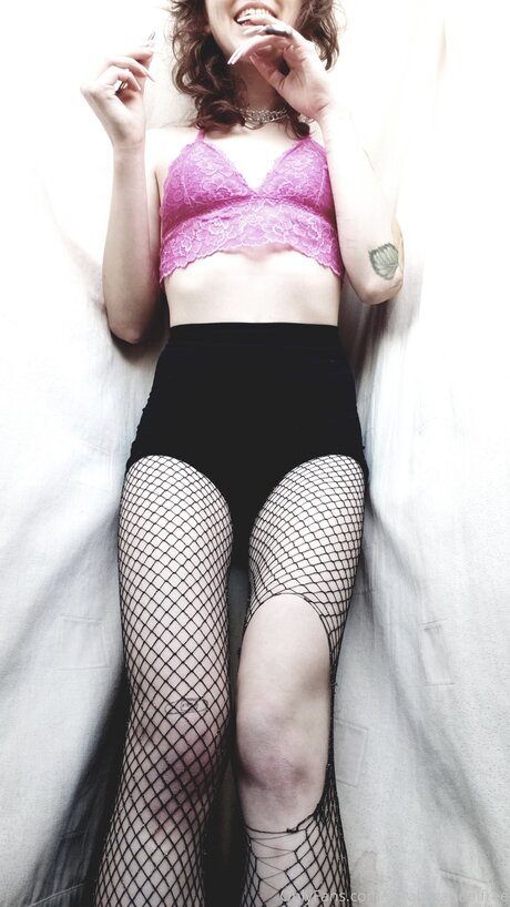 Dumbcuntfree pornstar top pics