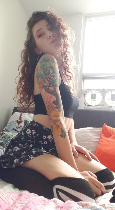 Dumbcuntfree star hd pictures