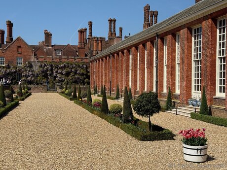 Travelsunshine star sex galleries