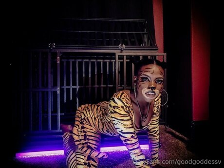 Rightwhereuwantme sexy pornstar galleries