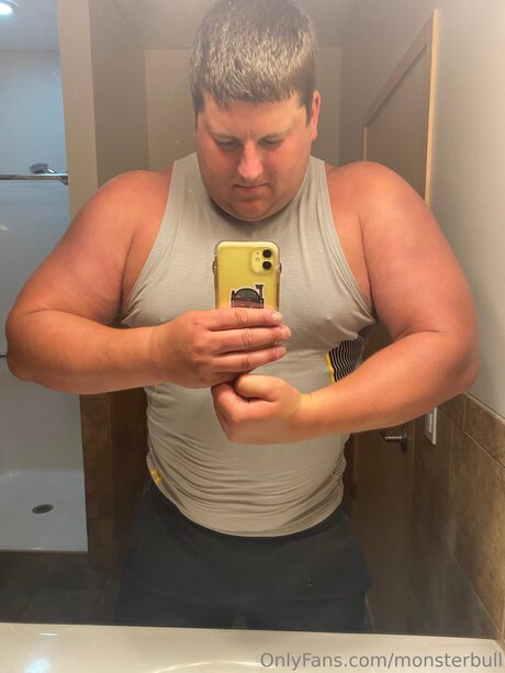 Thebulkinghog star adult archive