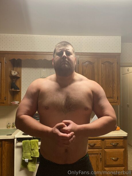 Thebulkinghog adult star picture