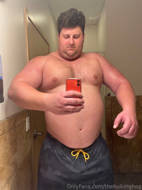 Thebulkinghog hd pornstar gallery