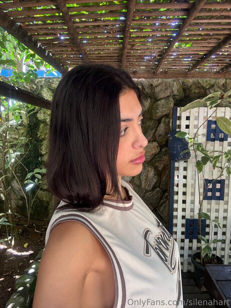 Silenahart art star image