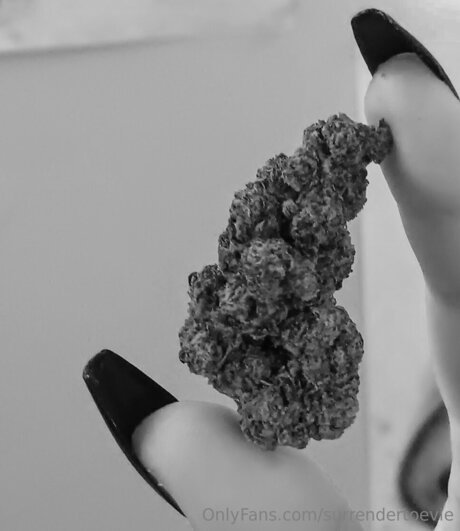 Surrendertoevie model perfect photo