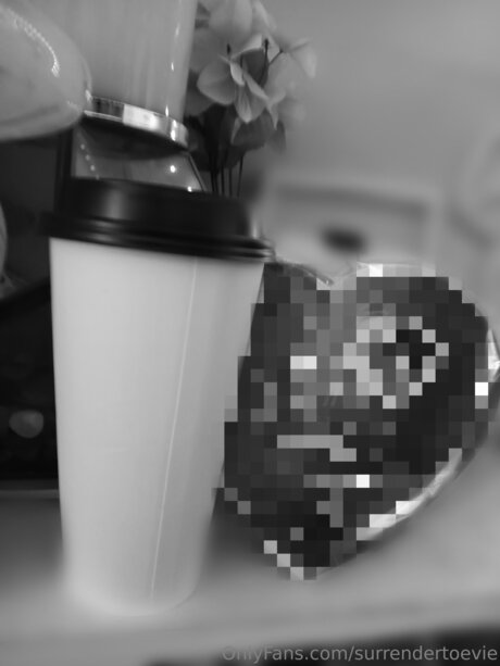 Surrendertoevie pornographic star picture