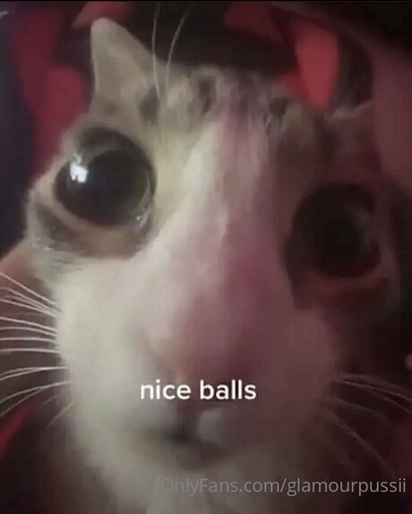 Glamourpussii nice actress picture