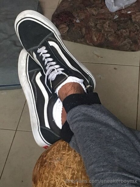 Sneakerboymx model top picture