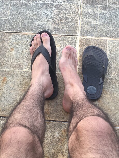 Calsiffer best star gallery