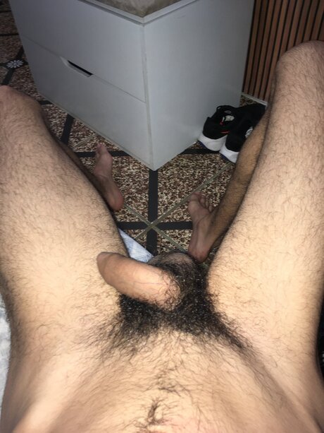 Calsiffer star beautiful pictures