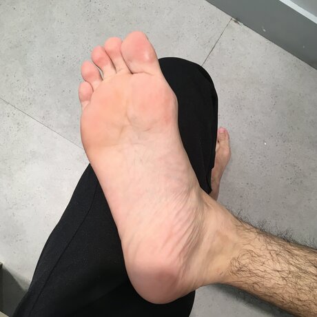 Calsiffer best star picture