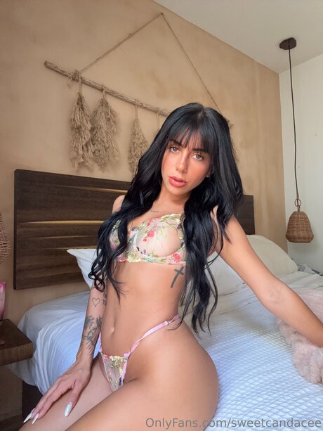 Sweetcandacee model adult photo
