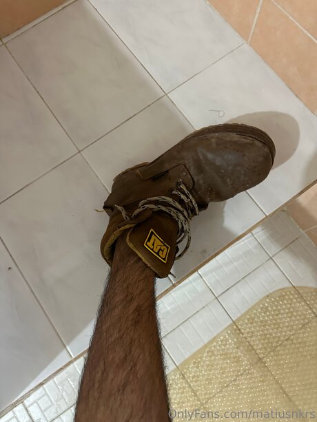 Matiusnkrs model top image