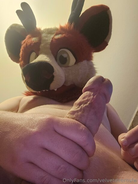 Velvetdeernsfw perfect pornstar picture