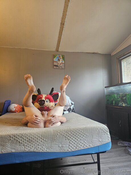 Velvetdeernsfw star porn galleries