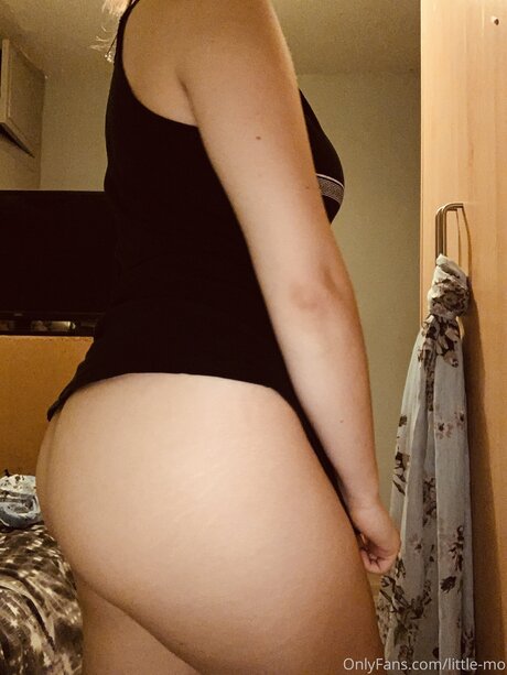 Little Mo model archive