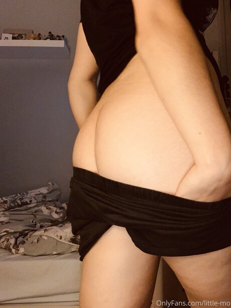 Little Mo exclusive star gallery