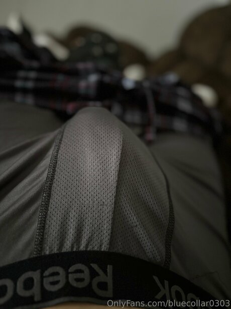 Bluecollar0303 model perfect pics