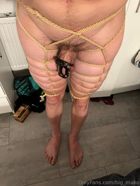 Big Mako porn star galleries