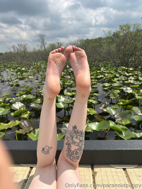 Paranoidpuppy nude star photo