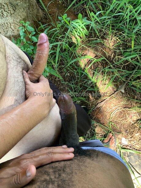 Montalvaodott pornstar photo