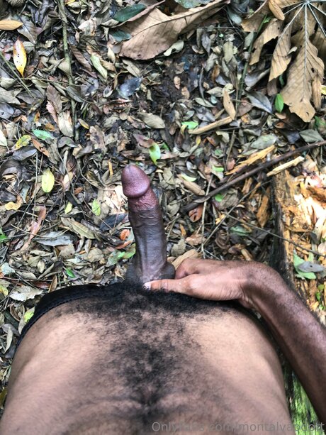 Montalvaodott pornstar beautiful archive