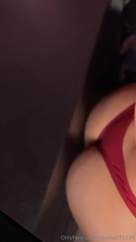 Claudia231234 naked pornstar galleries