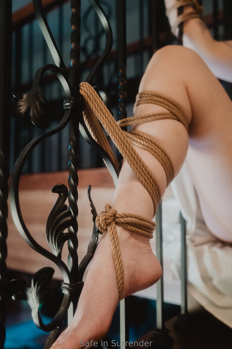 Safeinsurrender star img