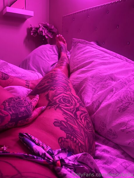 Ohhxoxo pornstar nice photo