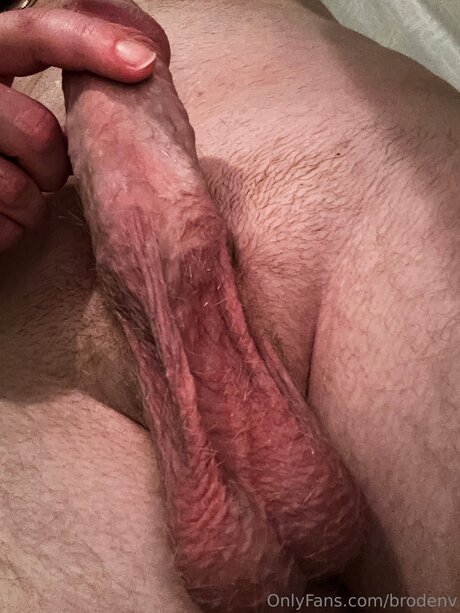 Brodenv naked pornstar image