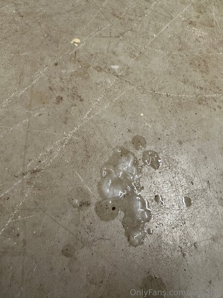 Brodenv model nice pics