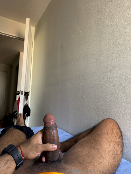 Hejasama01 porn star img