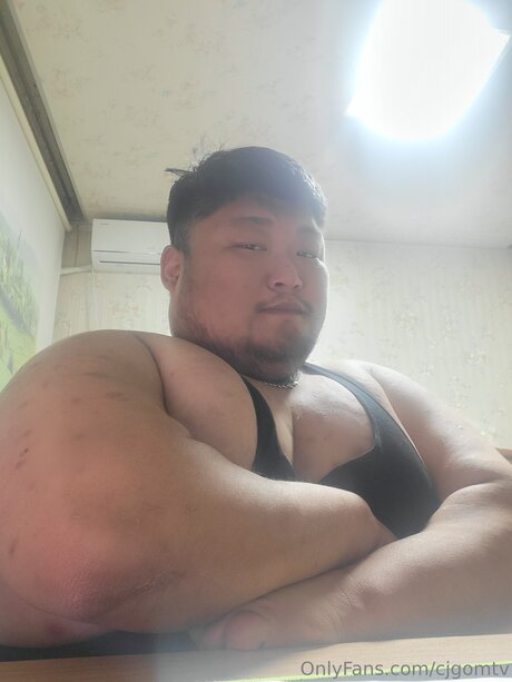 Cjgomtv pornstar sex galleries