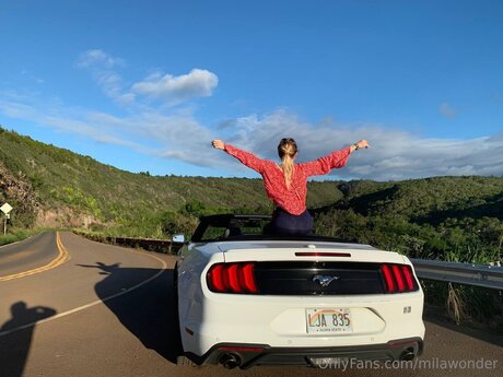 Milawonder star nice image