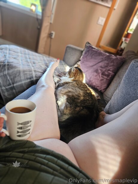 Mrsmaplevip best star images