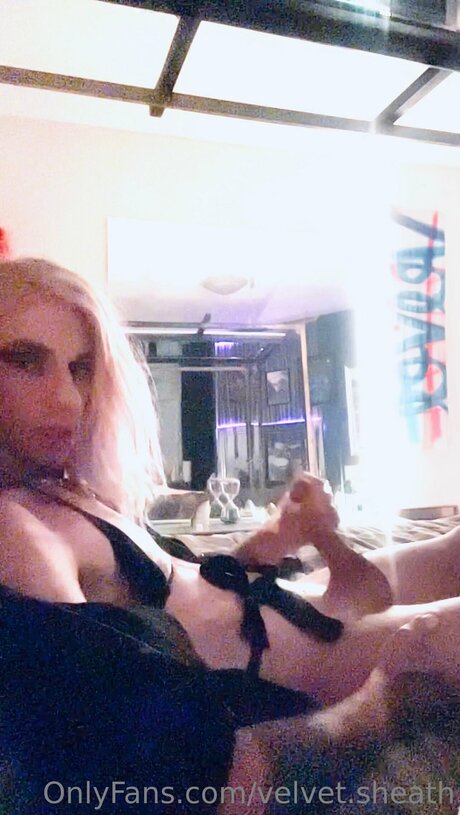 Velvet Sheath star hd pictures