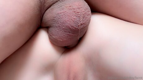 Silkboytwink sexy actress pictures