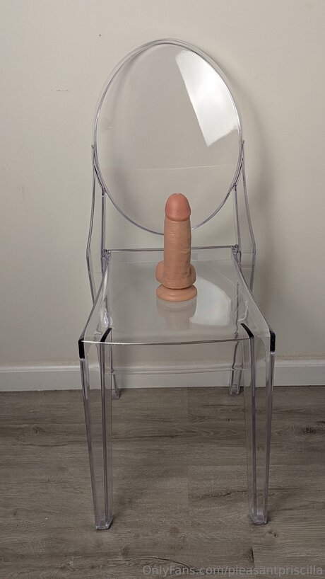 Pleasantpriscilla star best photo