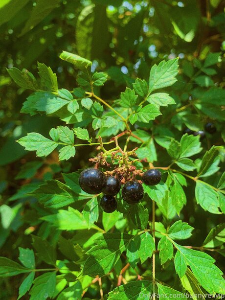 beautiful ebony onlyfans hot porn pics