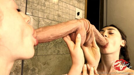 Tianablowvip model high quality picture