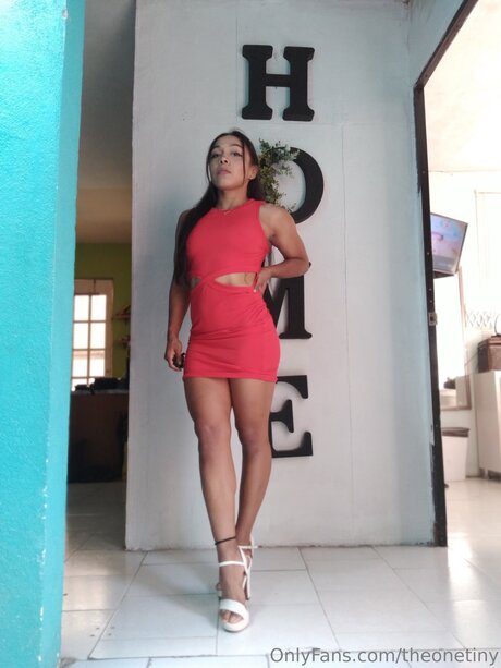 Theonetiny star erotic pics