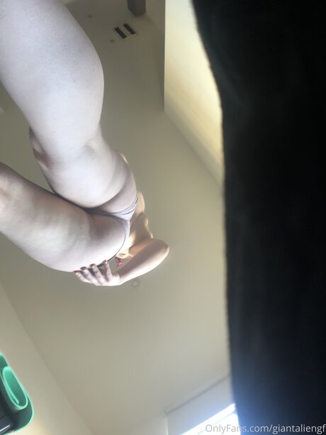 Giantaliengf art star galleries