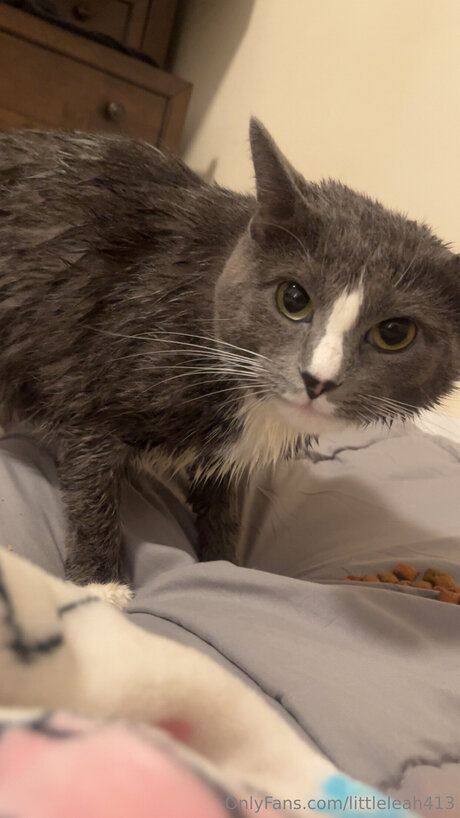 Littleleah413 pornstar beautiful galleries