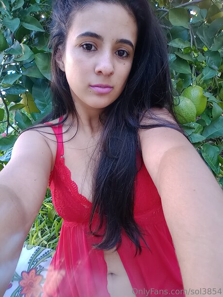 Sol3854 perfect pornstar img