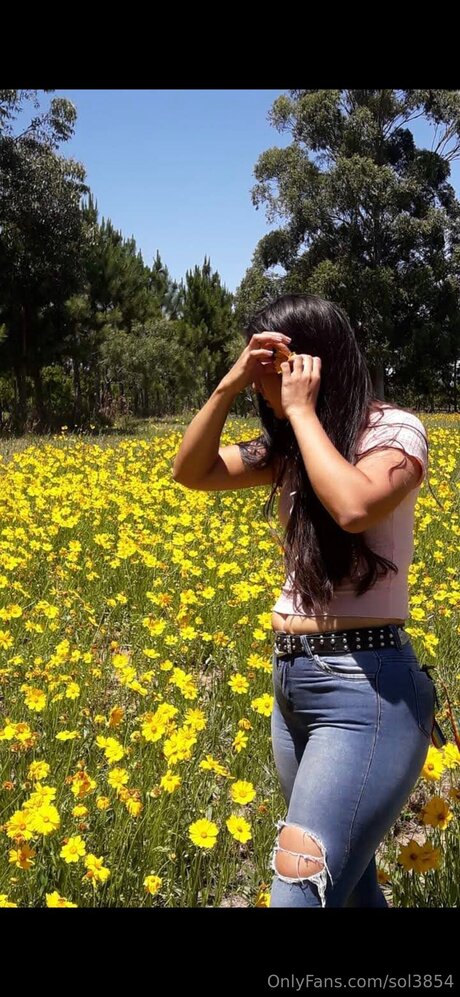 Sol3854 star picture