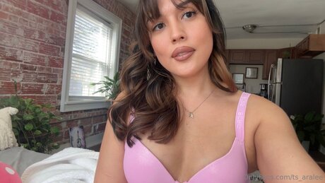Ts Aralee xxx actress gallery