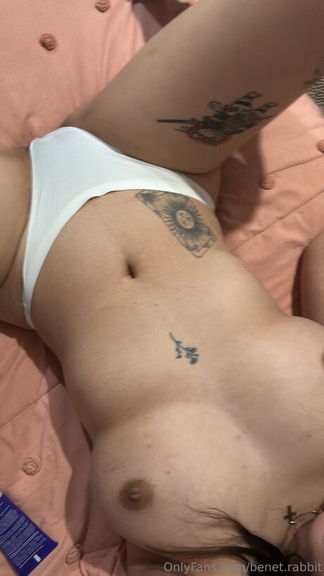 Benet Rabbit star hd pics