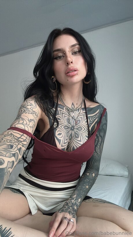 Babebunniee pornstar top pictures
