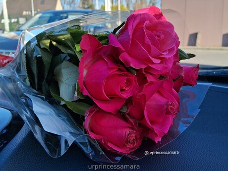 Urprincessamara pornographic actress gallery