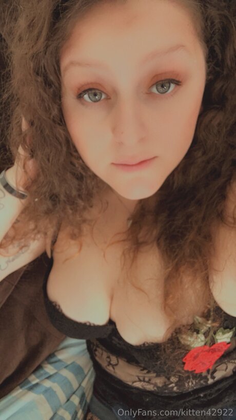 Kitten42922 star beautiful archive